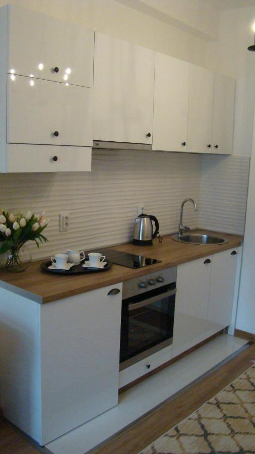 Gagovic Apartment เซทินเจ ภายนอก รูปภาพ